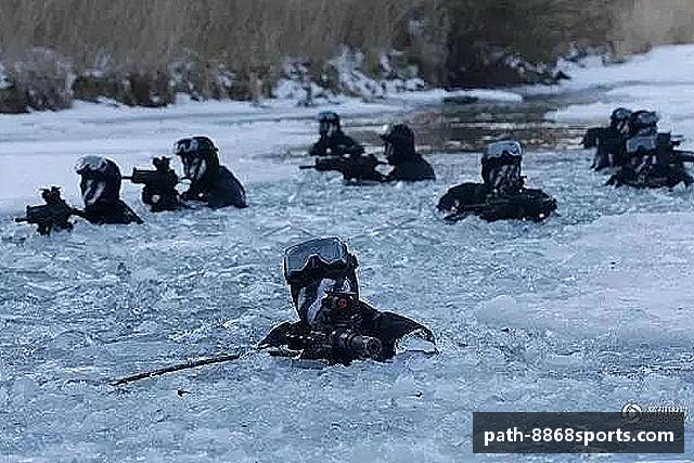 用户常见的问题解答?